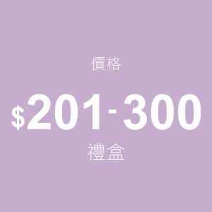 $201~$300禮盒