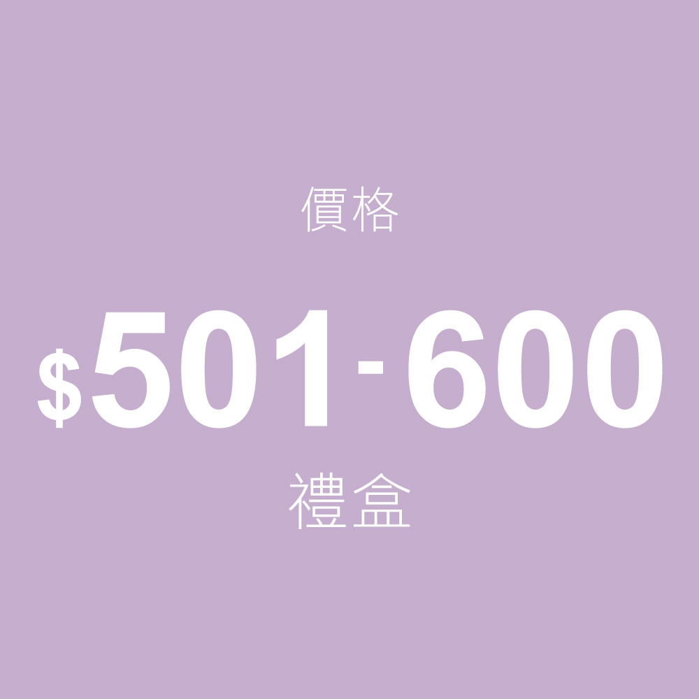 $501~$600禮盒